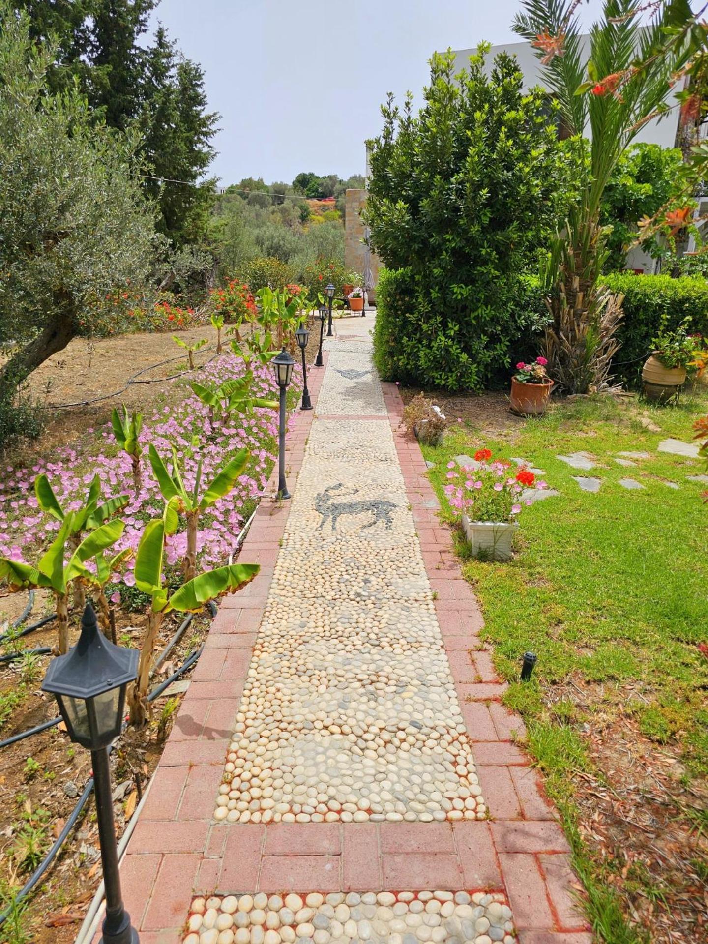 Galini View Apartments Lindos Bagian luar foto